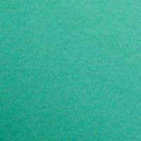 Paquet Maya 50x70cm 25 feuilles 270g vert sapin - Image principale