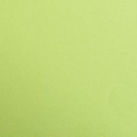 Paquet Maya 50x70cm 25 feuilles 270g vert mousse - Image principale