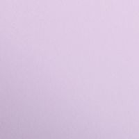 Paquet Maya 50x70cm 25 feuilles 270g lilas - Image principale
