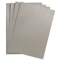 Paquet Maya 50x70cm 25 feuilles 270g argent - Image principale