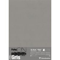 15 feuilles Paint'On Gris 50x65 250g - Image principale