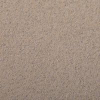 Paquet 24 feuilles Etival Color 160g 50x65 Champagne - Image 2