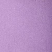 Paquet 24 feuilles Etival Color 160g 50x65 Parme - Image 2