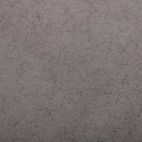 Paquet 24 feuilles Etival Color  160g 50x65 Gris chiné - Image 2