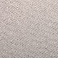 Paquet 24 feuilles Etival Color 160g 50x65 gris rose - Image 2