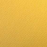 Paquet 24 feuilles Etival Color 160g 50x65 bouton d'or - Image 2
