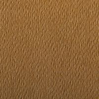 Paquet 24 feuilles Etival Color 160g 50x65 havane - Image 2
