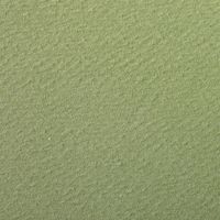 Paquet 24 feuilles Etival Color  160g 50x65 vert amande - Image 2