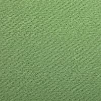 Paquet 24 feuilles Etival Color 160g 50x65 vert pomme - Image 2