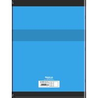 CONQUERANT Cahier de Travaux Pratiques 24x32cm Grands Carreaux Seyès/Uni Blanc 96 Pages Agrafées Couverture Ca - Image 4