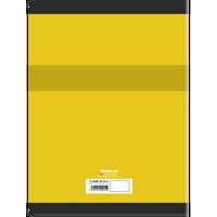 CONQUERANT Cahier Dessin 24x32cm Réglure Unie Blanche 16 Pages Agrafées Couverture Carte Coloris Assortis - Image 9