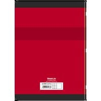 CONQUERANT Cahier de Travaux Pratiques A4 Grands Carreaux Seyès/Uni Blanc 120 Pages Agrafées Couverture Carte - Image 8