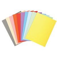 Lot de 10 paq. 10 chem. Forever 170 100% recyclé 24x32cm col. assort. - Image 3