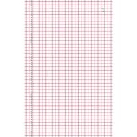 Lot de 10 Manifold quadrillé 5x5 21x13,5cm 50 feuillets dupli autocop. - Image 3