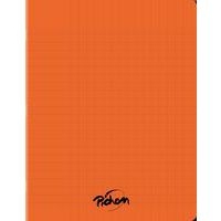 Cahier polypropylène 96 pages Seyes 17x22 cm 80g - Pichon - Image principale