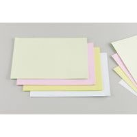 Fiche bristol A4 uni 210g blanc (Paquet de 100) - Image principale