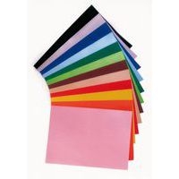 Main de 25 feuilles 50 x 65, 220g, 12 teintes assorties - Image principale