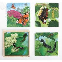 Puzzle développement du papillon - Image principale