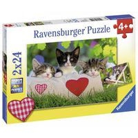 Lot de 2 puzzles 'Chatons au repos' - Image principale