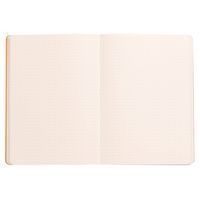 Rhodiarama carnet souple bronze A5 160 pages dot 90g - Image 2