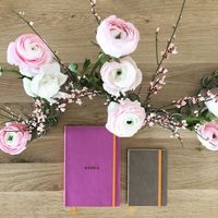 Rhodiarama carnet souple lilas A5 160 pages dot 90g - Image 3