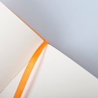 Webnotebook orange A4 192 pages uni fermeture élastique - Image 3