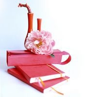 Trousse plumier corail simili cuir italien 23x5x5 cm - Image 5