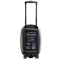 Sonorisation portable 12" PORT12VHF-MKII TWS - Ibiza - Image 8