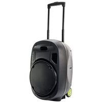 Sonorisation portable 12" PORT12VHF-MKII TWS - Ibiza - Image 8