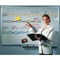 PROFESSIONAL planning annuel 12 mois 75x150cm Émail - Image 2