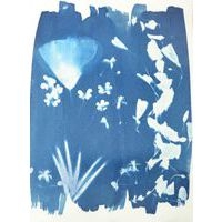 Kit 2 flacons préparation cyanotype - Image 9