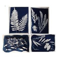 Kit 2 flacons préparation cyanotype - Image 3