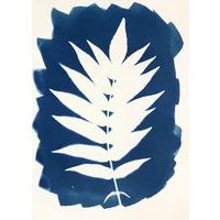Kit 2 flacons préparation cyanotype - Image 7