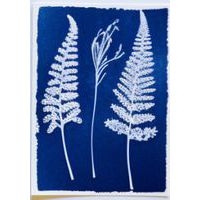 Kit 2 flacons préparation cyanotype - Image 10