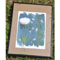 Kit 2 flacons préparation cyanotype - Image 8