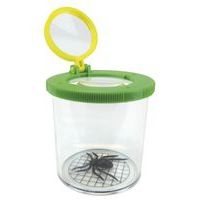 Boîte loupe d'observation - Image principale