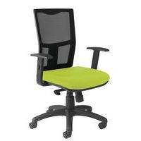 Fauteuil Ritz réglage lombaire accoudoir réglable assise tissu coloris anis - Image principale