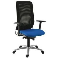 Fauteuil de bureau piètement gris Diaz Sokoa - Image principale