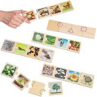 Cycle de vie - Image 2