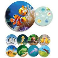 Monde animal - Image 6