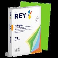 Ramette couleur vive 500 feuilles 80g A3 à la teinte - Rey - Image 7