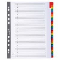 Lot de 10 Intercalaires Imprimés numériques 160g 31 pos A4 Maxi-Blanc - Image principale
