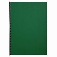 Paquet de 100 couvertures Grain cuir pour reliure A4-Vert - Image 2