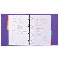 Lot de 20 Intercalaires 160g avec ong. col. Renf. 5 pos. 6 posA4-Blanc - Image 4