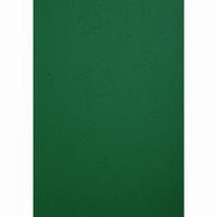 Paquet de 100 couvertures Grain cuir pour reliure A4-Vert - Image 4