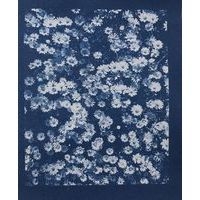 Pack de 30 feuilles cyanotype pré imprégnées A4 - Image 4