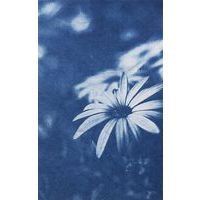 Pack de 30 feuilles cyanotype pré imprégnées A4 - Image 3