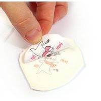 Atelier 12 médaillons en FIMO panda - Image 2