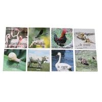 Mémo nature animaux - Image 3