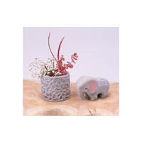 Pain 1kg pâte grise - Image 4